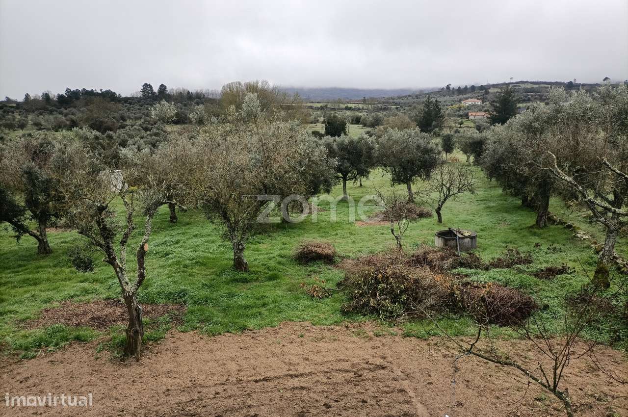 Moradia T1 com espaço exterior e vista magnífica para Serra da Estr... - Grande imagem: 5/15