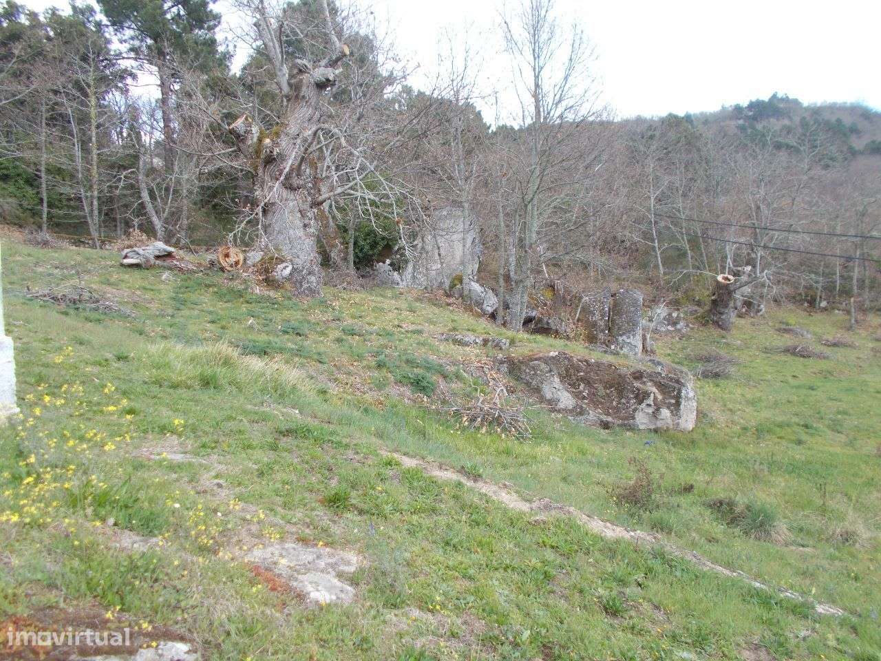 Moradia e Terreno 13442 m2 Pereiro Agrações-23