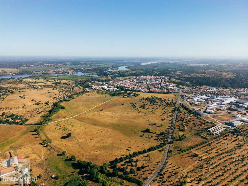 Terreno de olival em Avis - Grande imagem: 5/17