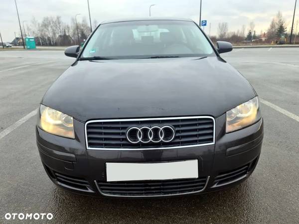 Audi A3 1.6 FSI Ambition - 14