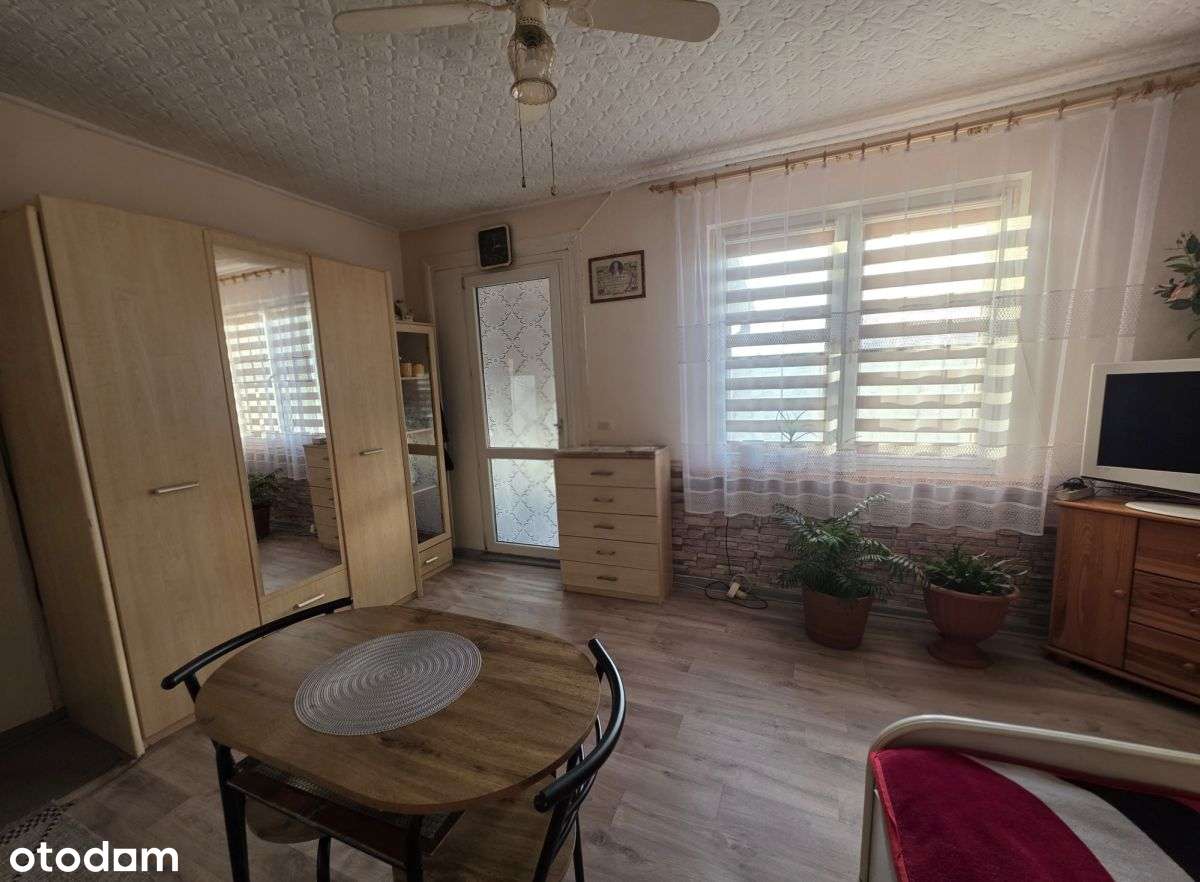 Siedlisko, Jabłońskie, Las-11