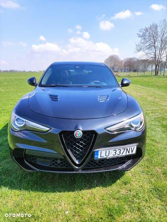 Alfa Romeo Stelvio 2.9 V6 Bi-Turbo Quadrifoglio Q4 - 1