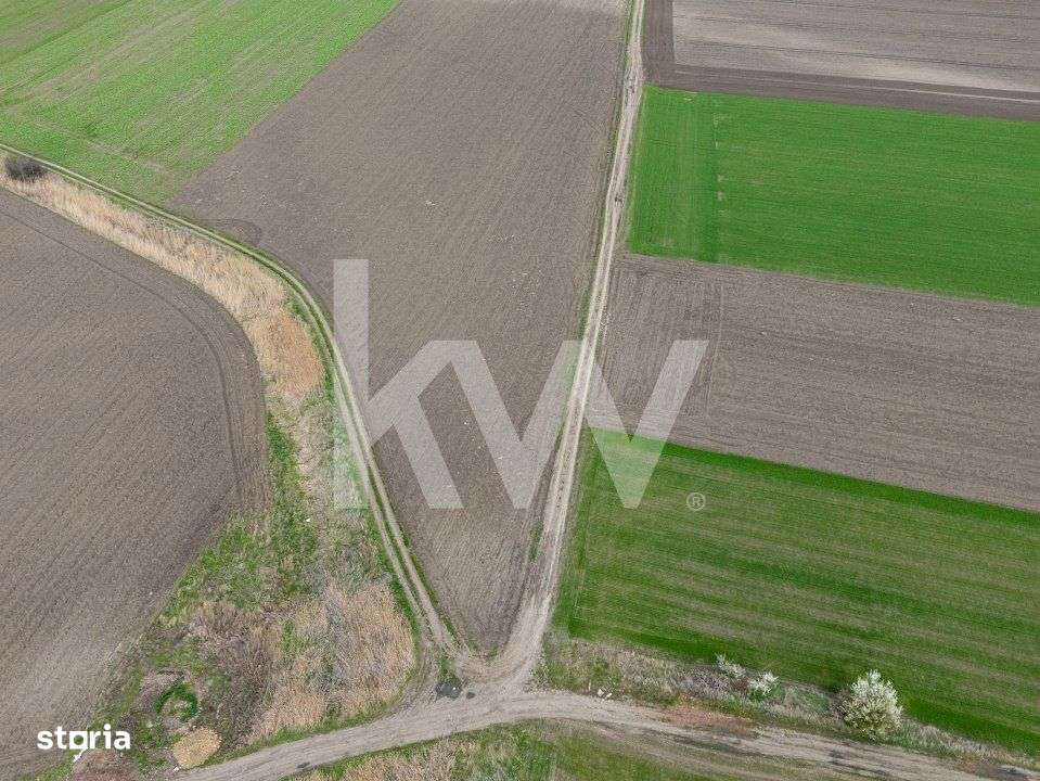 Teren de vanzare – Ghimbav, Brasov | 9.400 mp - Imagine principală: 1/6