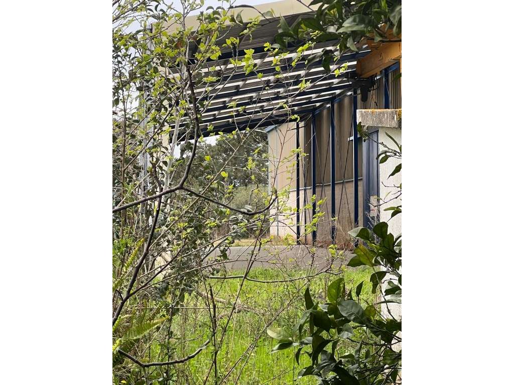 Armazem industrial em Vila Amélia, Quinta do Anjo - Grande imagem: 5/16