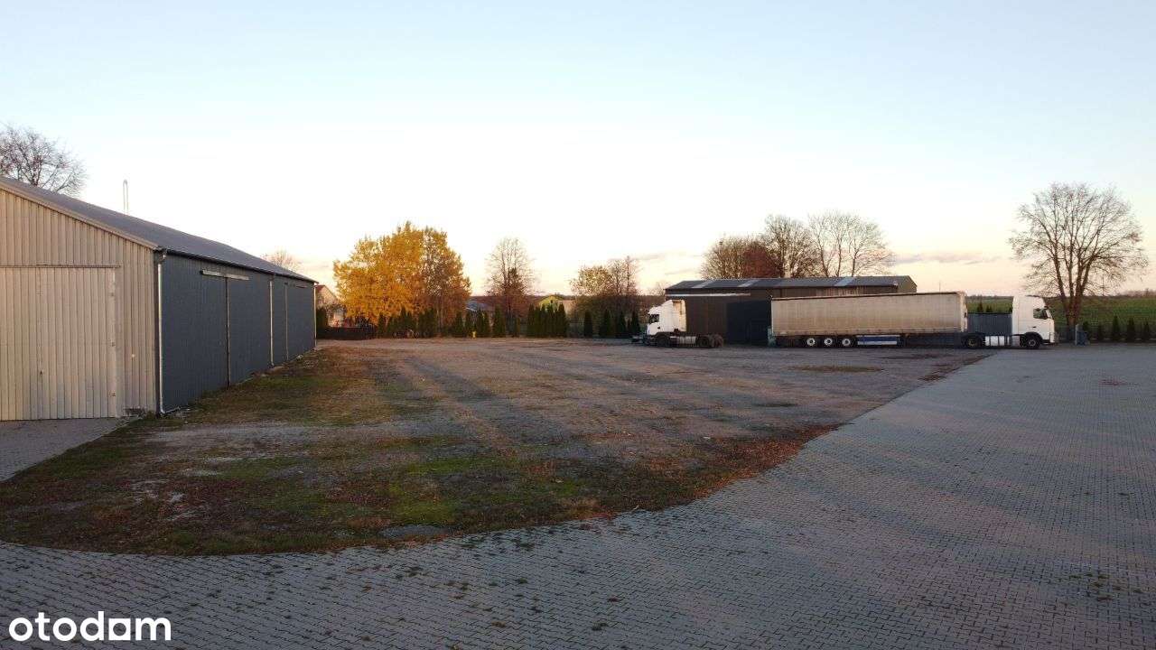 Hala Biuro Magazyn Warsztat Sklep Hurtownia Logist - Pełny obrazek: 4/14