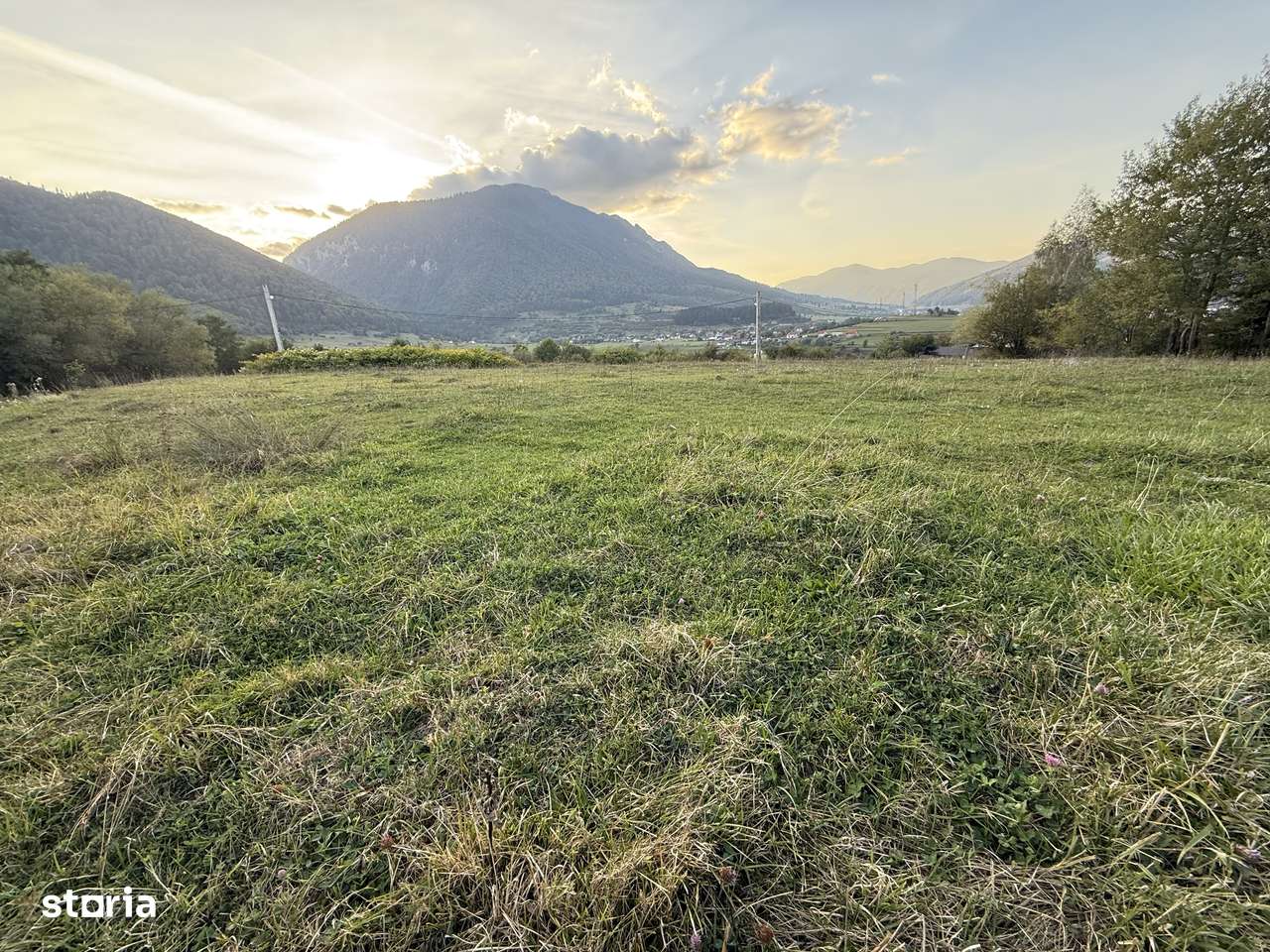 Teren intravilan 500 sau 1000 mp Bran-Tohanita la dum asfaltat-7