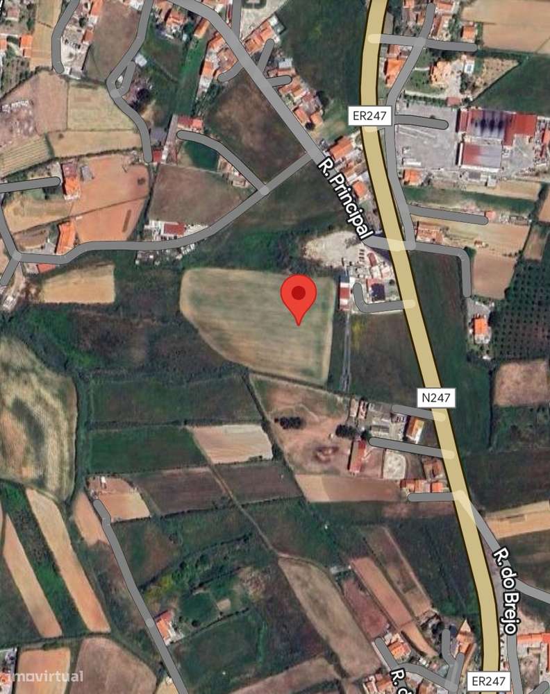 Oportunidade Única – Venda de Três Terrenos Rústicos no Brejo, Encarna - Grande imagem: 4/4