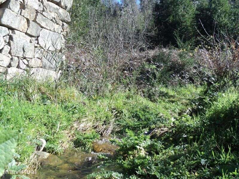 Terreno / Marco de Canaveses, Sande e São Lourenço - Grande imagem: 5/6