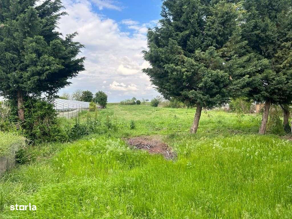 CASA 152 mp + TEREN 8148 mp - BRAGADIRU - TELEORMAN - Imagine principală: 4/17