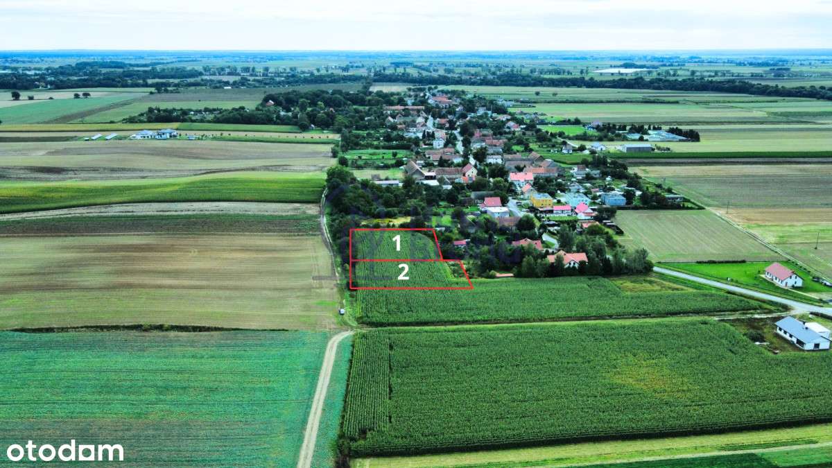 Prąd na działce, tylko 10 minut od Oleśnicy-2