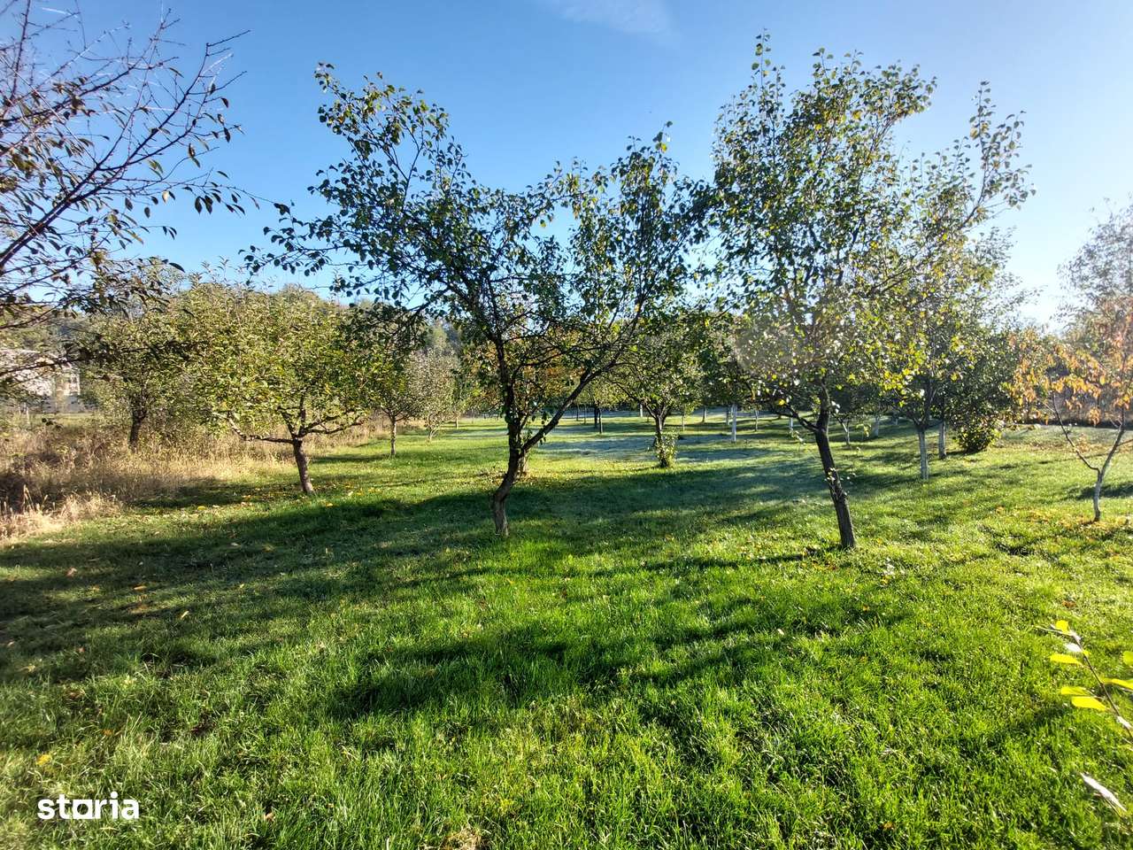 COMISION 0 Casa 169 mp, 1872 mp teren, Vulcana Pandele - Imagine principală: 3/12