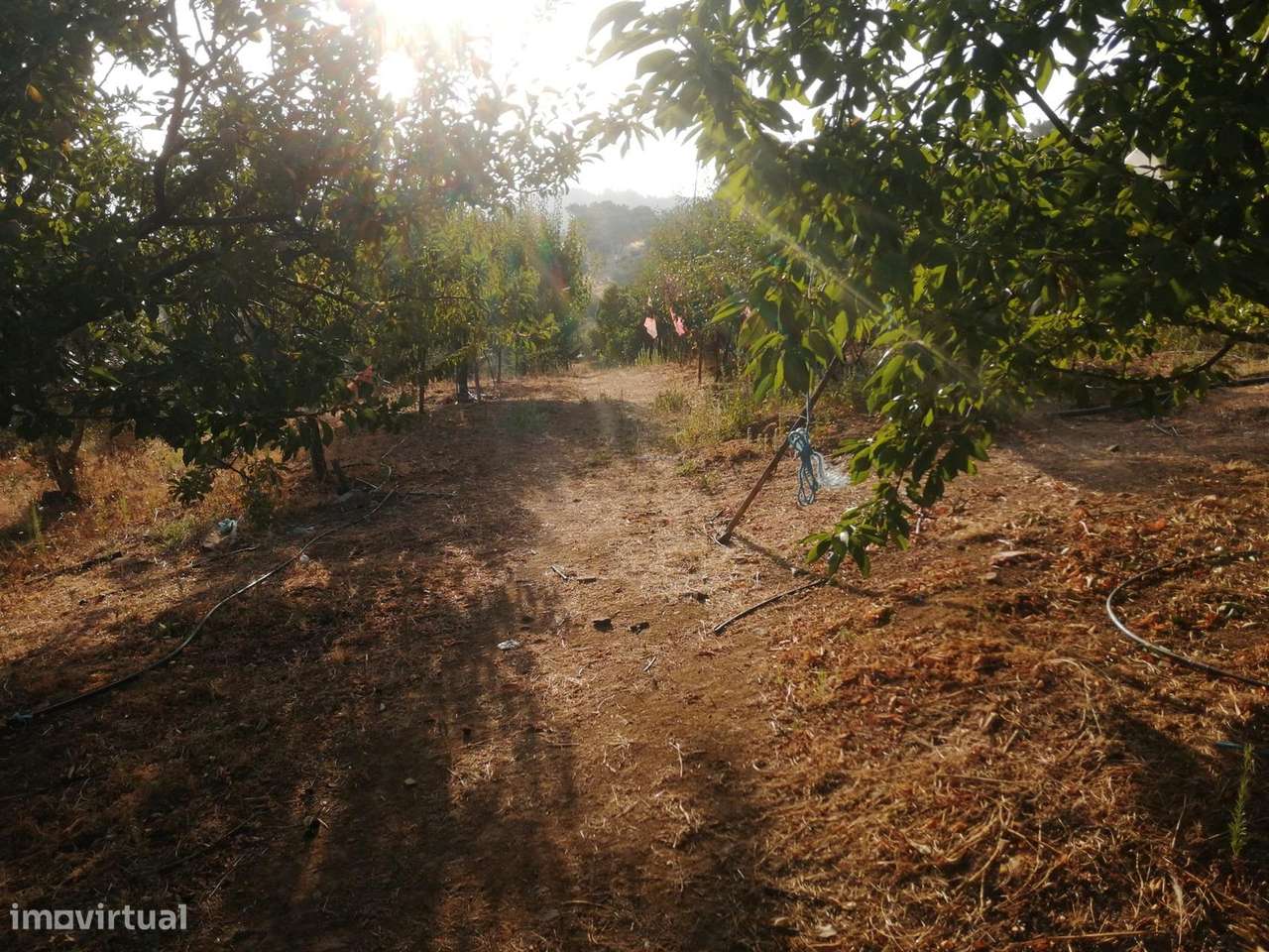 Quinta - Grande imagem: 5/7