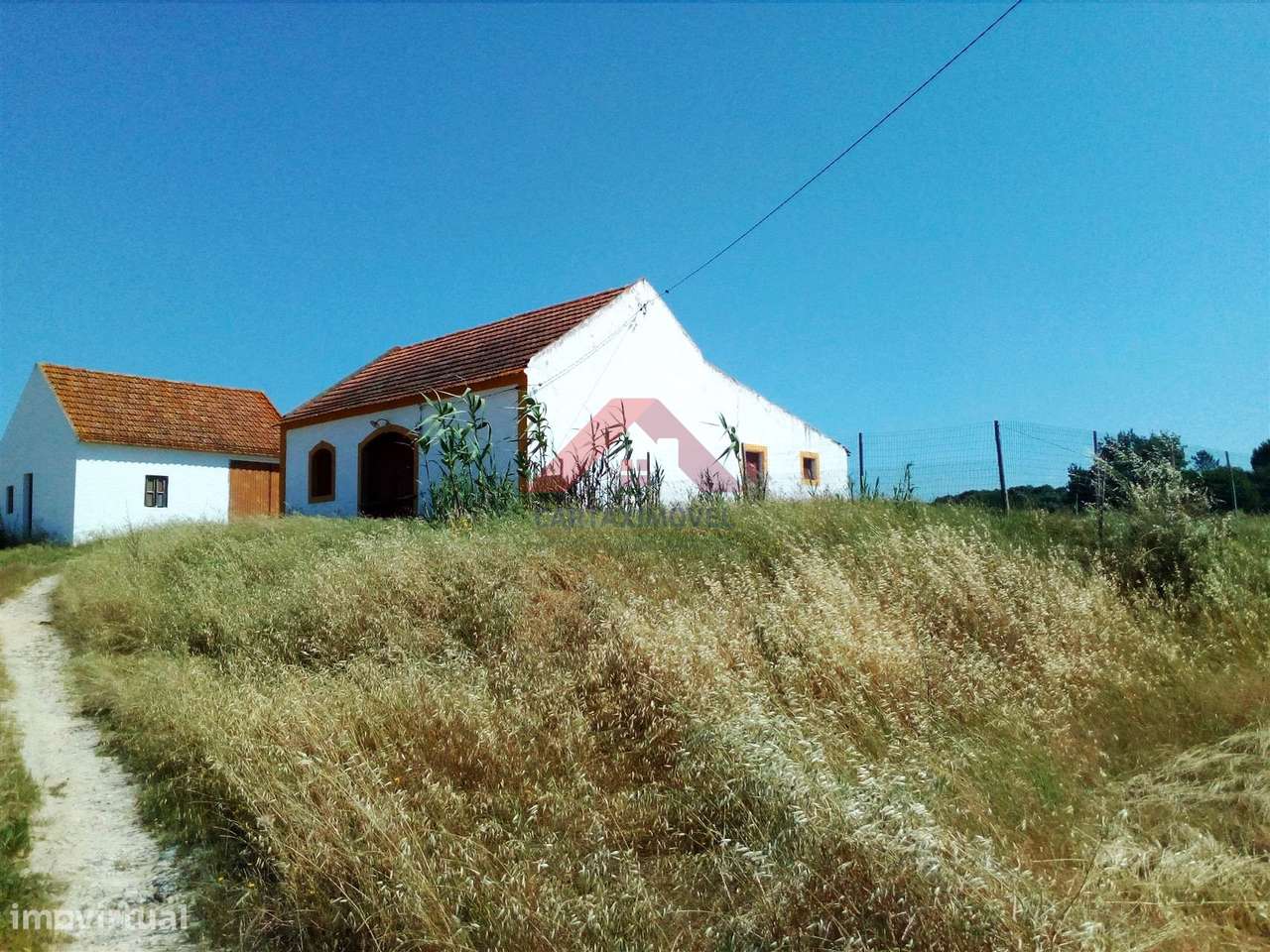 Quintinha  Venda em Pontével,Cartaxo - Grande imagem: 2/8