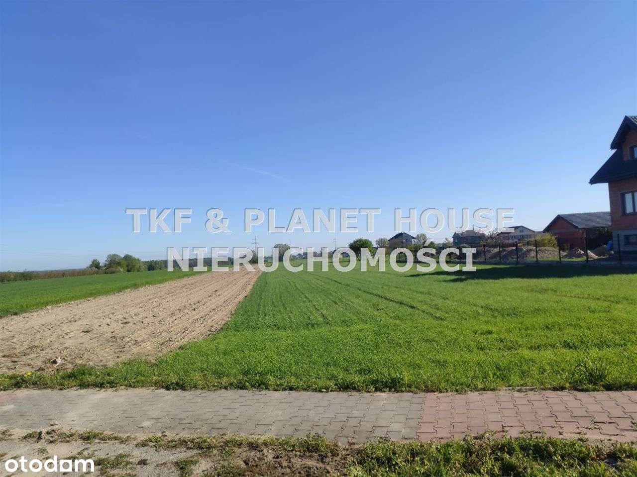 Działka 6400 m2 Wygnanów /Opoczno - Pełny obrazek: 4/7