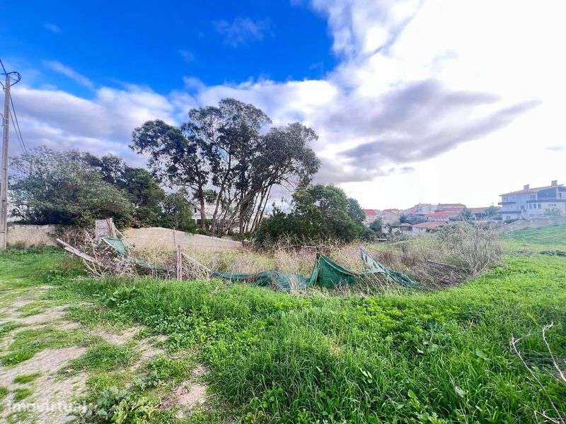 Terreno Rústico em fase de Urbanização - Grande imagem: 4/10