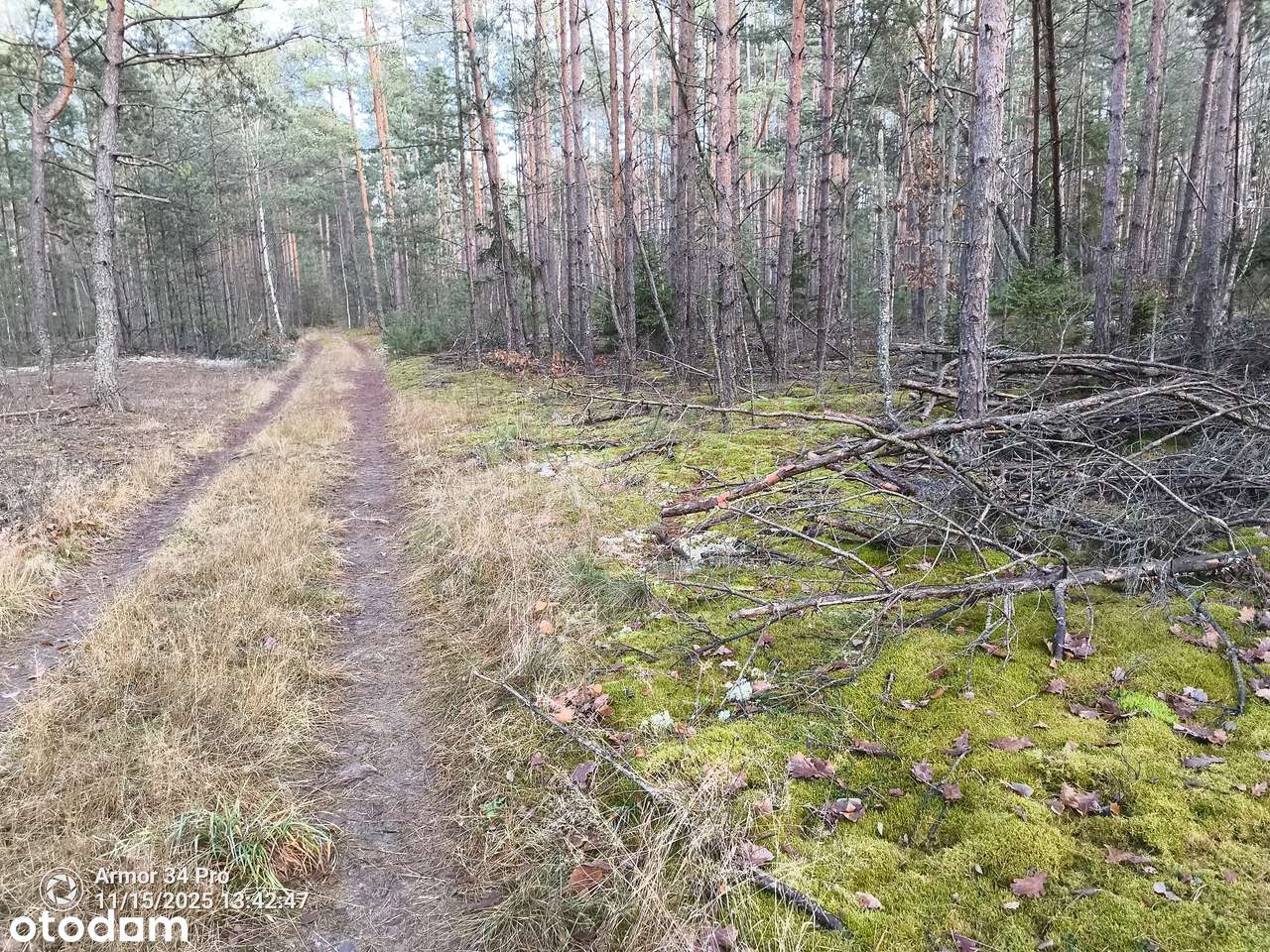 Leśniczówka Unikalne niespotykane miejsce w Europie  w Puszczy Białow.-9