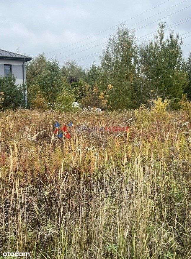 Wszystkie media blisko szkoły-6