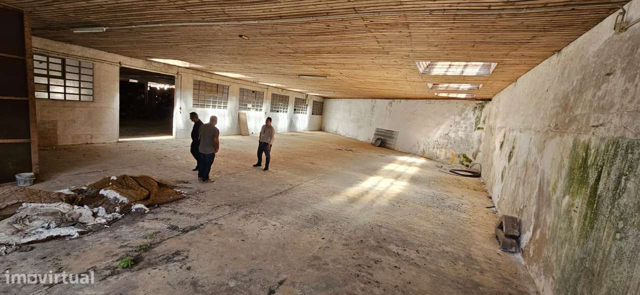 Armazém  Venda em Minde,Alcanena - Grande imagem: 3/18