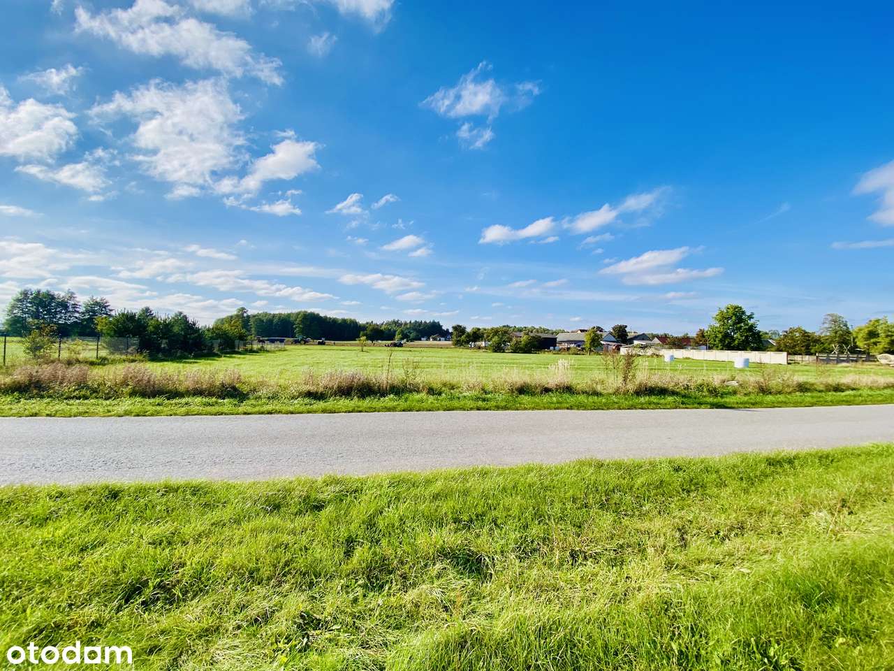 Działka/działki budowlana ( 1273m² oraz 3001m²)  z  WZ - Grzmucin - Pełny obrazek: 5/6