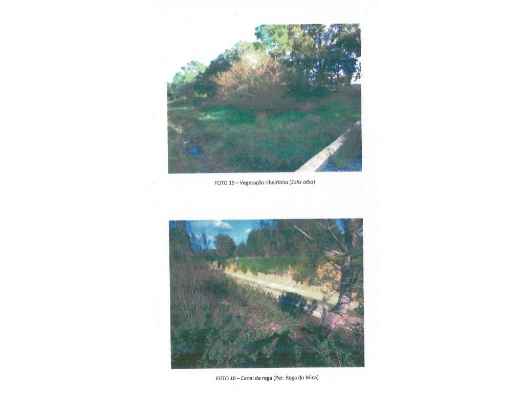 Duas moradias térreas independentes, Terreno 84.000 m2 - São Teotón...-8