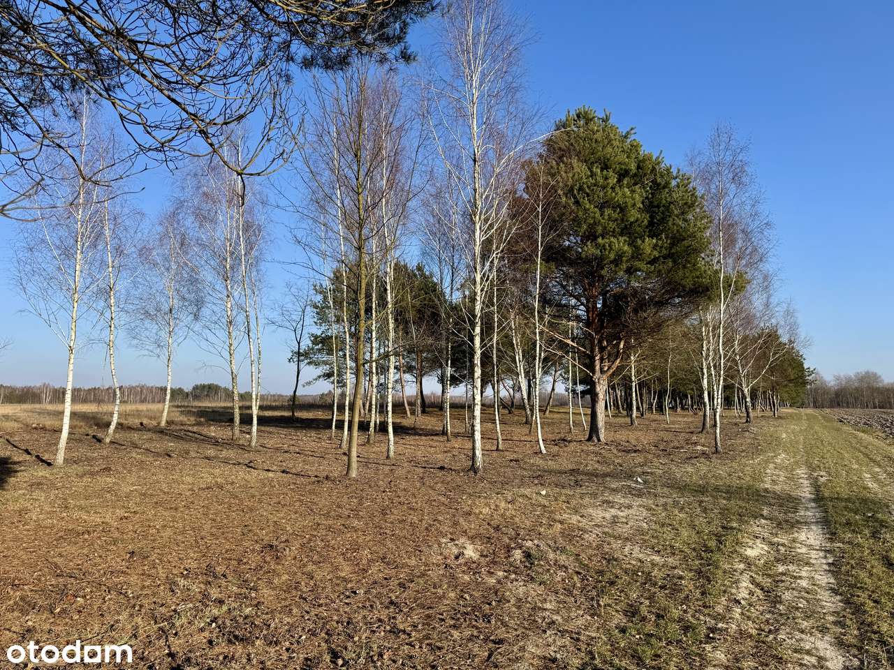 Działki budowlane przy jeziorze Białym-6