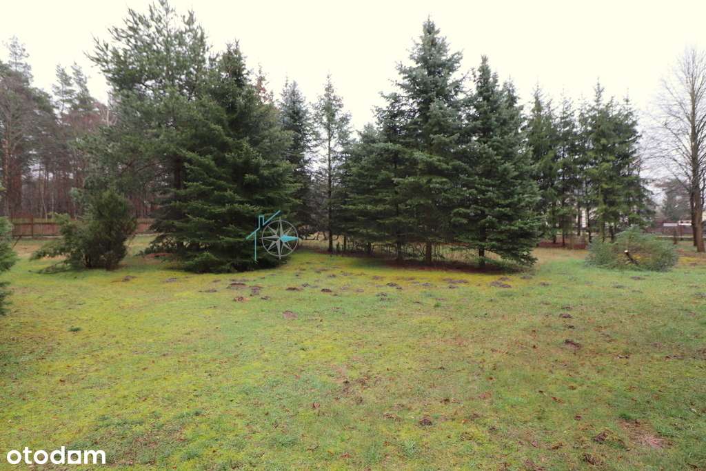 *2800 m2*Dom 88 M2*Kuchnia Letnia* - Pełny obrazek: 4/11