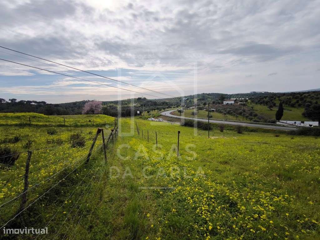 Terreno com 1.2 hectares em Vila Ruiva-7