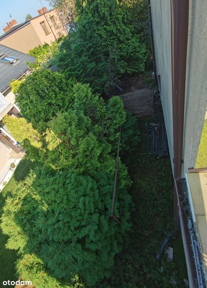 2 pokojowe, słoneczne, 2 tarasy, piętro domu MJ z osobną KW za gotówkę-15