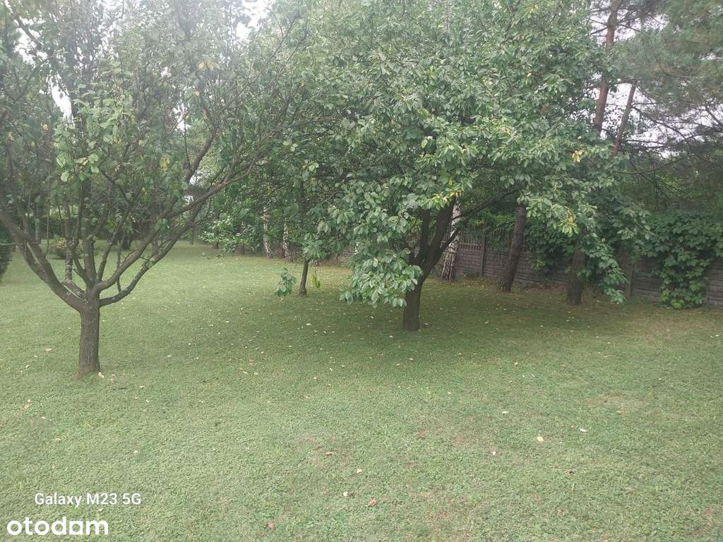 Piękna widokowa działka na jurze-3