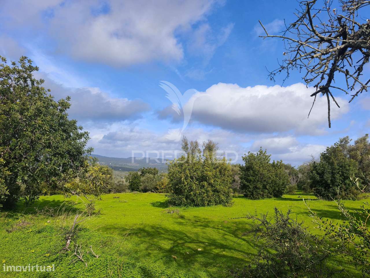 Terreno com 6.440 m² e potencial para 12 moradias - Grande imagem: 5/5