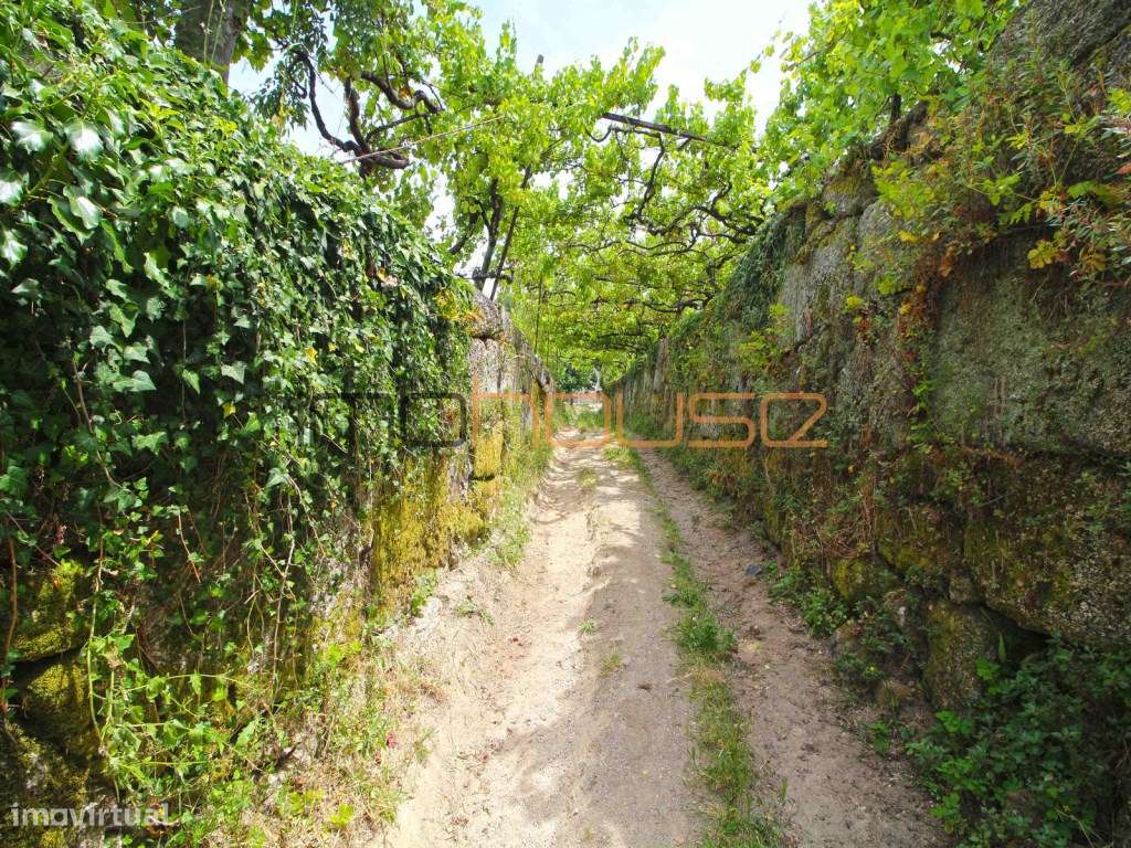 Quinta do séc. 18 - Amarante-43