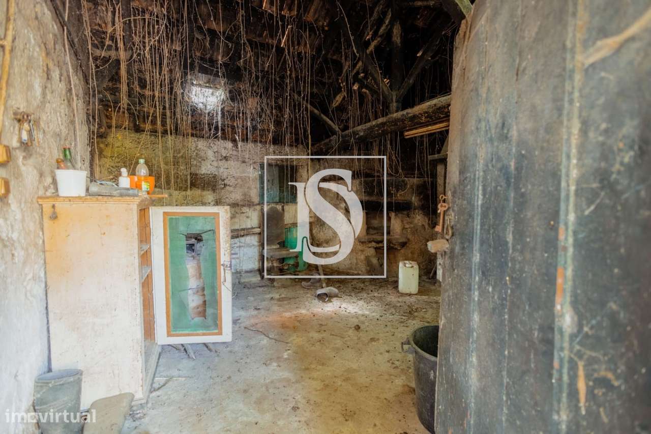 Quinta da Assureira - Douro Arrendamento - Grande imagem: 4/41