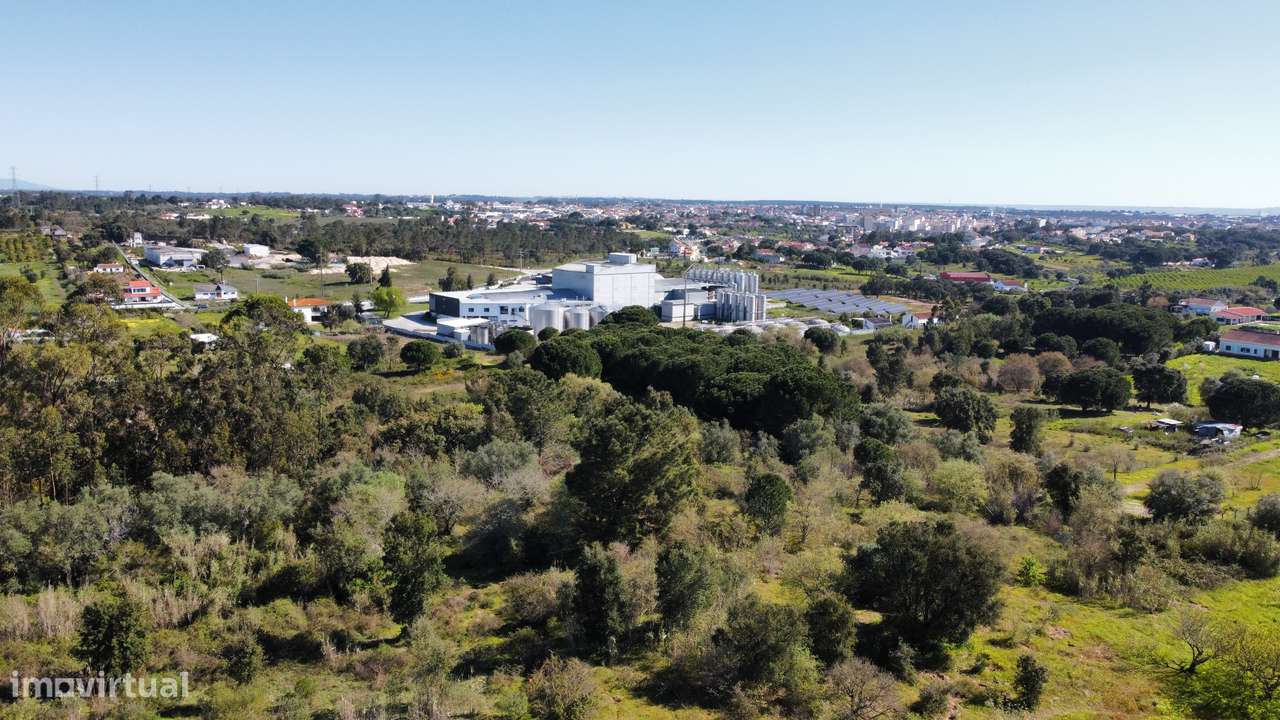 Apresento terreno agrícola, no Cartaxo com área total de 12 200 m2-3