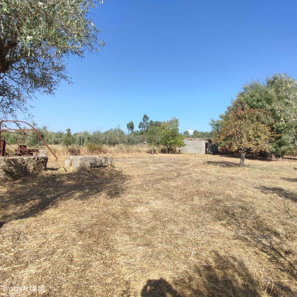 Terreno Rústico com 4625m2 na Lardosa, Castelo Branco - Grande imagem: 4/14