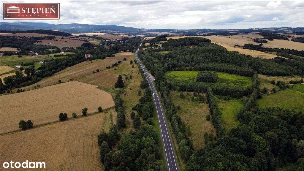 Działka, 14 427 m², Rybnica - Pełny obrazek: 4/12