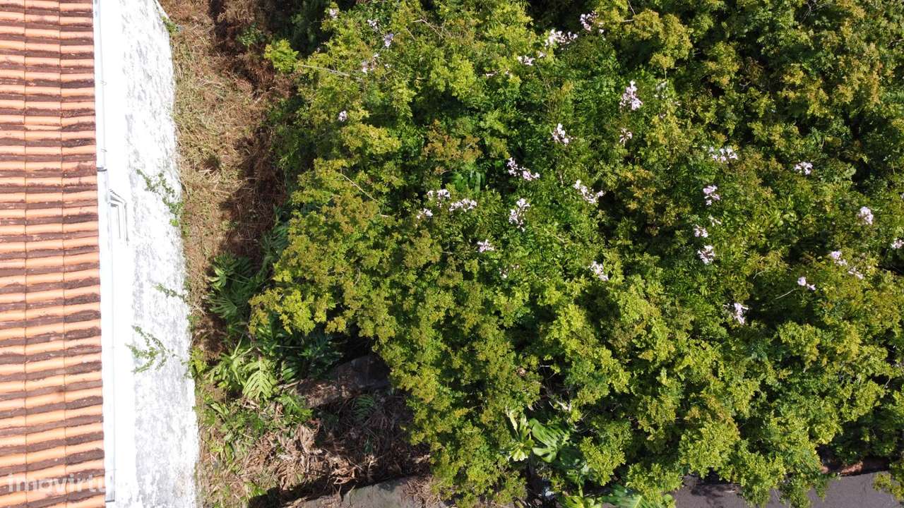 Ruina para reconstrução em Sao Roque do Pico-20