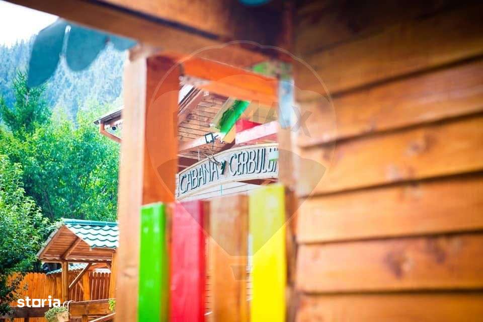 De Vânzare Pensiune Rustica De Vis Pe Ruta Lerești-Voina-18