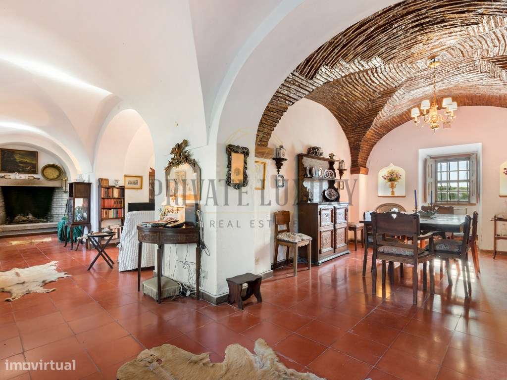 Quinta de renome em plena Vidigueira - Grande imagem: 4/36