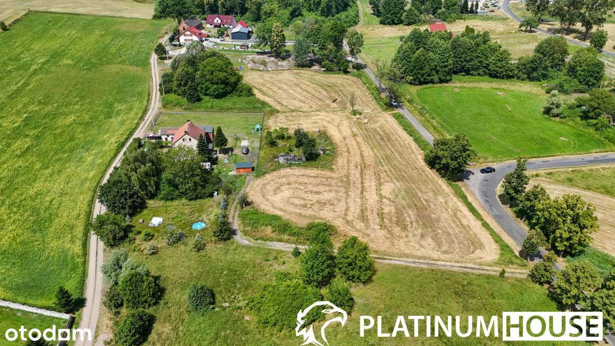 Idealna pod dom! 6 571 m² Jaryszów | Mpzp - Pełny obrazek: 5/12