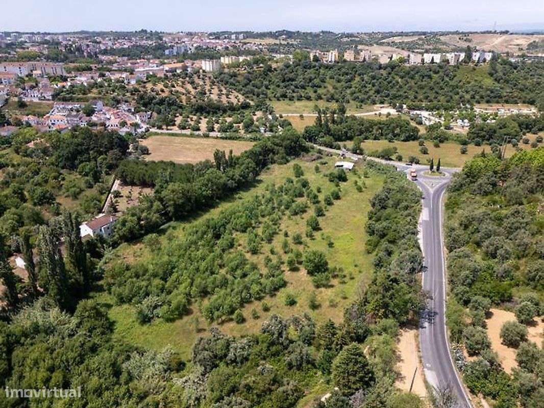 Quintinha à Entrada de Torres Novas – Localização Privilegiada-6