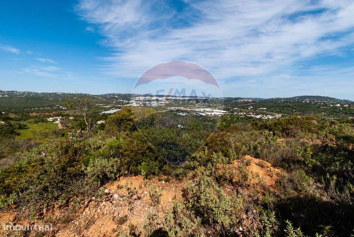 Terreno  para Venda - Grande imagem: 3/10