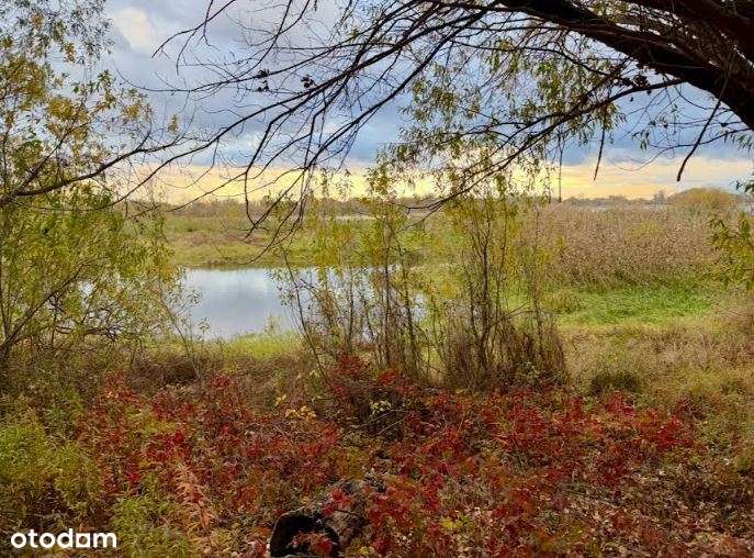Unikatowa nieruchomość nad Wisłą*35 km do W-wy - Pełny obrazek: 3/20