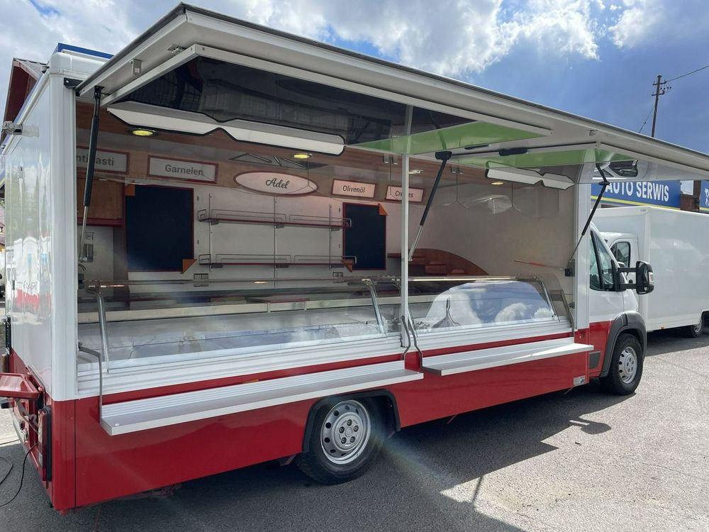 Fiat Ducato 2009