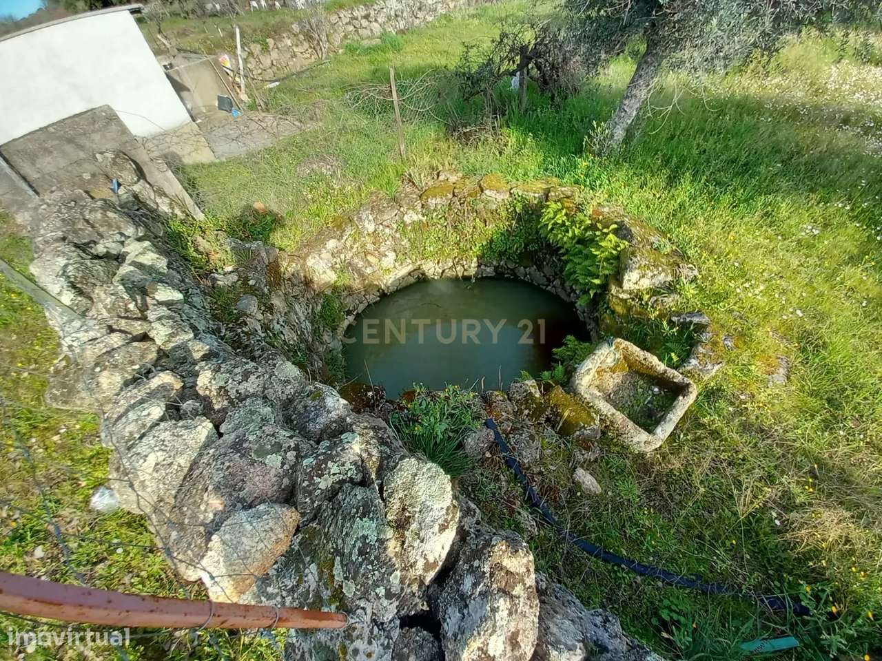 Terreno Rústico Póvoa de Rio de Moinhos, Castelo Branco - Grande imagem: 4/11