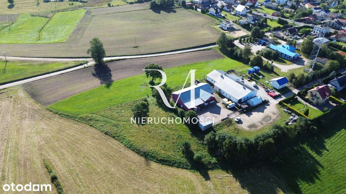 Okazja Działka usług-mieszk 50m od drogi woj. Gowi - Pełny obrazek: 5/5