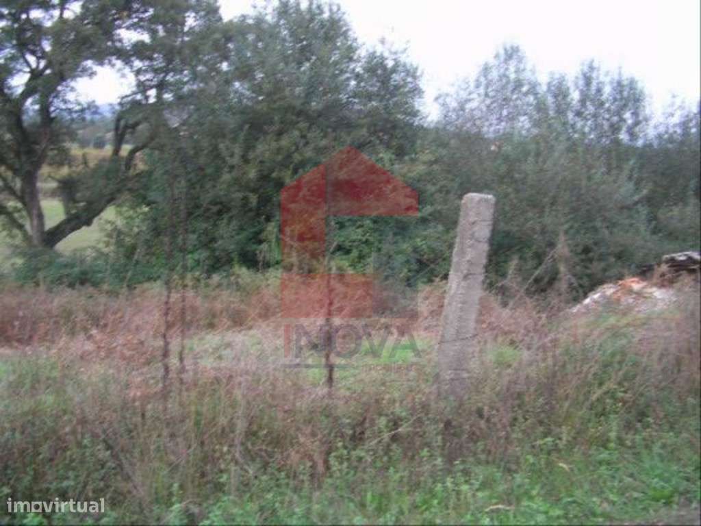 Terreno, Coucieiro - Grande imagem: 2/4