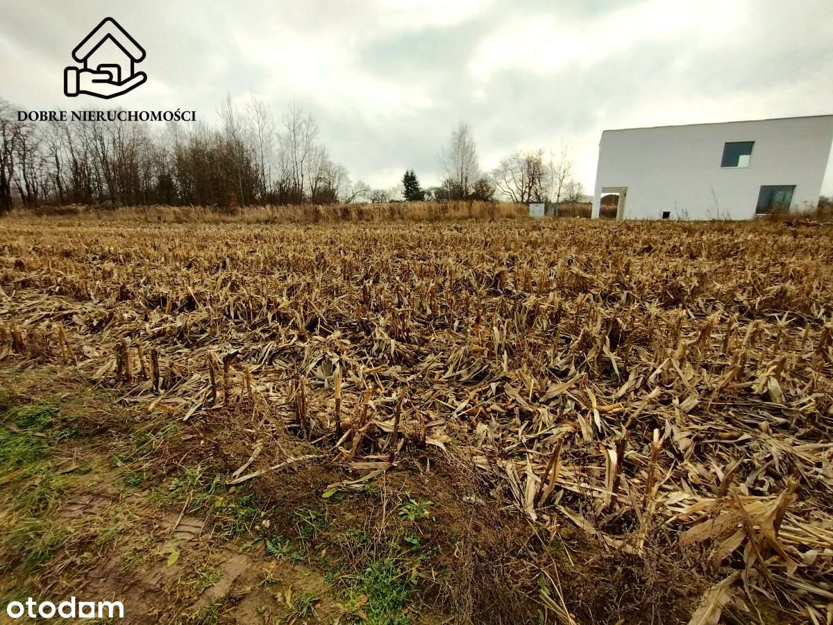 Budowlana 0,17ha przed obwodnicą Płouszowice Kol.-7