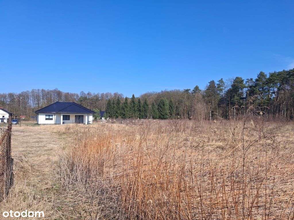 Krępsko Miejsce Dla Twojego Domu ! - Pełny obrazek: 4/8