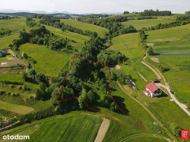 Działka widokowa w cichym i spokojnym miejscu