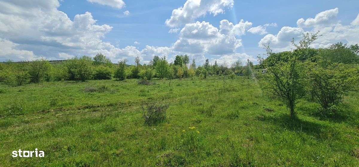 Teren 1500 mp pe str Paltinului, Valea Ghinzii , extravilan Bistrita-5